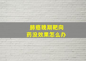 肺癌晚期靶向药没效果怎么办