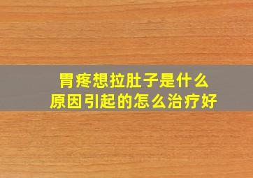 胃疼想拉肚子是什么原因引起的怎么治疗好