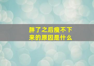 胖了之后瘦不下来的原因是什么