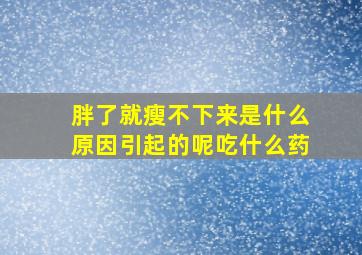 胖了就瘦不下来是什么原因引起的呢吃什么药