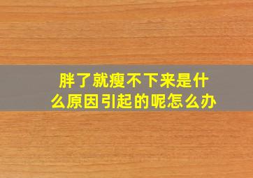 胖了就瘦不下来是什么原因引起的呢怎么办