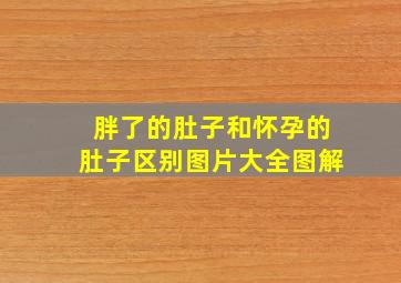 胖了的肚子和怀孕的肚子区别图片大全图解