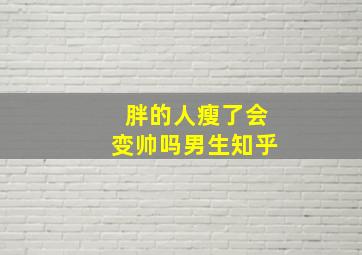 胖的人瘦了会变帅吗男生知乎