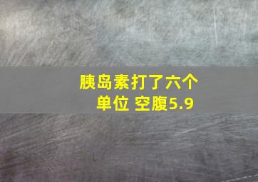 胰岛素打了六个单位 空腹5.9