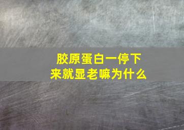 胶原蛋白一停下来就显老嘛为什么