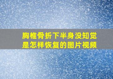 胸椎骨折下半身没知觉是怎样恢复的图片视频