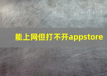 能上网但打不开appstore