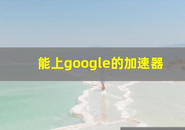 能上google的加速器