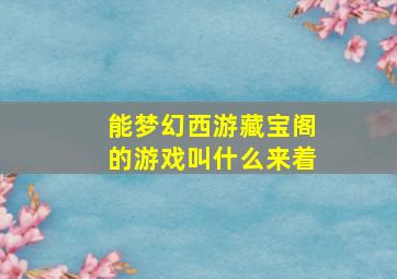 能梦幻西游藏宝阁的游戏叫什么来着