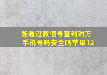 能通过微信号查到对方手机号吗安全吗苹果12