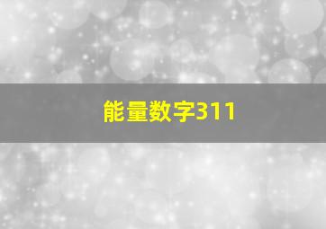 能量数字311