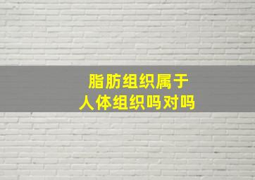 脂肪组织属于人体组织吗对吗