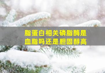 脂蛋白相关磷脂酶是血脂吗还是胆固醇高