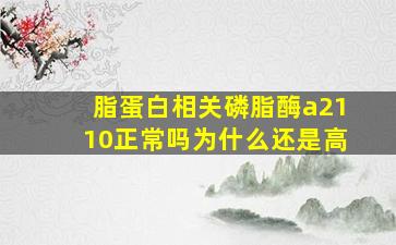 脂蛋白相关磷脂酶a2110正常吗为什么还是高