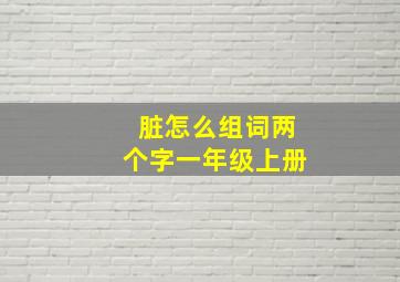 脏怎么组词两个字一年级上册