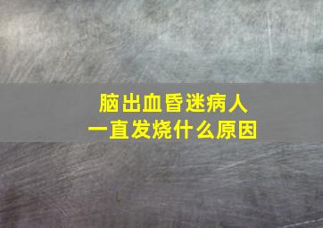 脑出血昏迷病人一直发烧什么原因