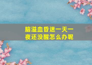 脑溢血昏迷一天一夜还没醒怎么办呢