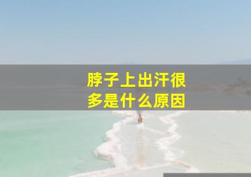 脖子上出汗很多是什么原因