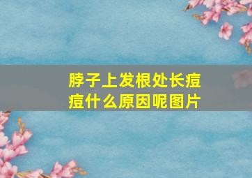 脖子上发根处长痘痘什么原因呢图片