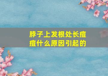 脖子上发根处长痘痘什么原因引起的