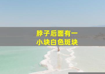 脖子后面有一小块白色斑块