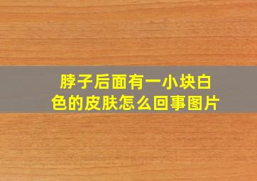 脖子后面有一小块白色的皮肤怎么回事图片