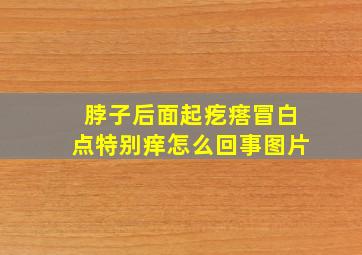 脖子后面起疙瘩冒白点特别痒怎么回事图片