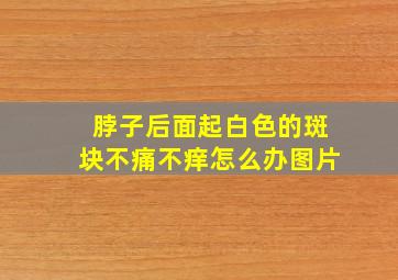 脖子后面起白色的斑块不痛不痒怎么办图片