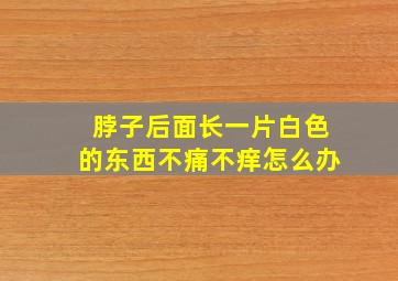 脖子后面长一片白色的东西不痛不痒怎么办