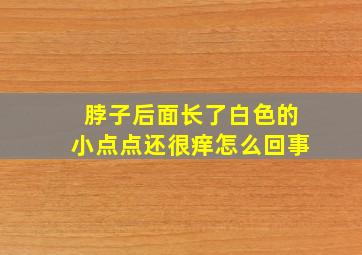 脖子后面长了白色的小点点还很痒怎么回事