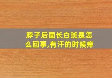 脖子后面长白斑是怎么回事,有汗的时候痒