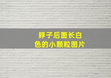 脖子后面长白色的小颗粒图片