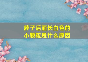 脖子后面长白色的小颗粒是什么原因