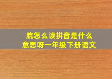 脘怎么读拼音是什么意思呀一年级下册语文