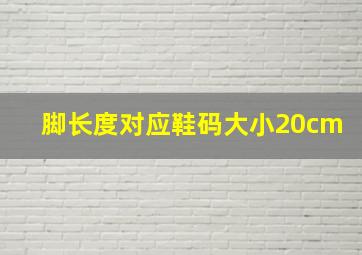 脚长度对应鞋码大小20cm