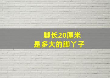 脚长20厘米是多大的脚丫子