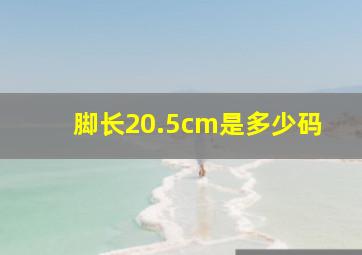 脚长20.5cm是多少码