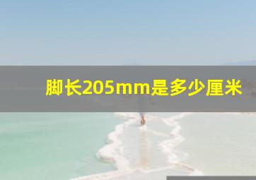 脚长205mm是多少厘米