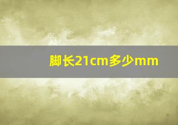 脚长21cm多少mm