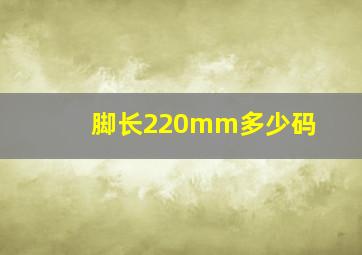 脚长220mm多少码