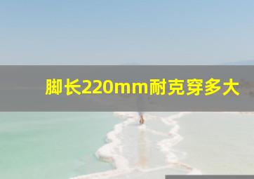 脚长220mm耐克穿多大