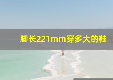 脚长221mm穿多大的鞋