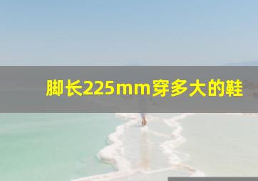 脚长225mm穿多大的鞋