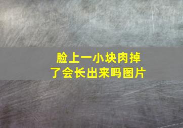 脸上一小块肉掉了会长出来吗图片