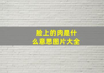 脸上的肉是什么意思图片大全