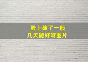 脸上破了一般几天能好呀图片