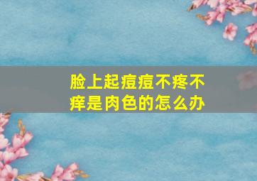 脸上起痘痘不疼不痒是肉色的怎么办