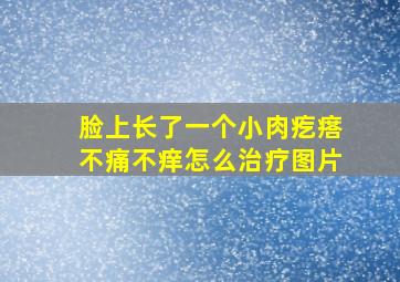 脸上长了一个小肉疙瘩不痛不痒怎么治疗图片