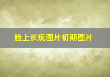 脸上长疣图片初期图片