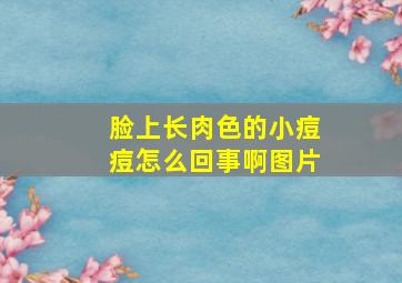 脸上长肉色的小痘痘怎么回事啊图片